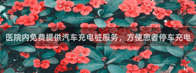 威廉健身管理咨询有限公司