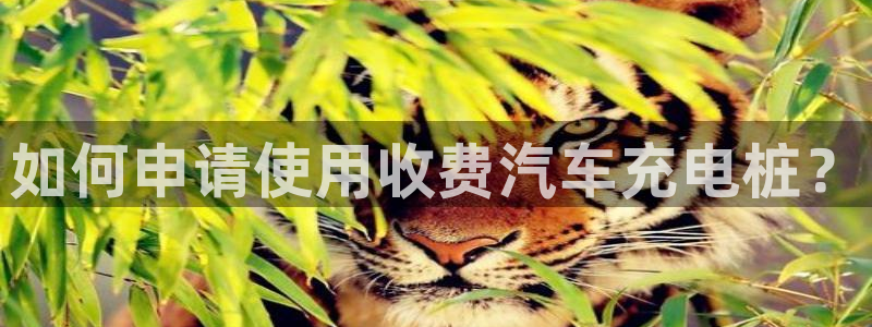 有没有威廉国际这个平台