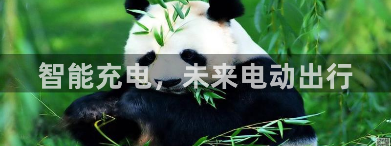 立博与威廉希尔对比分析