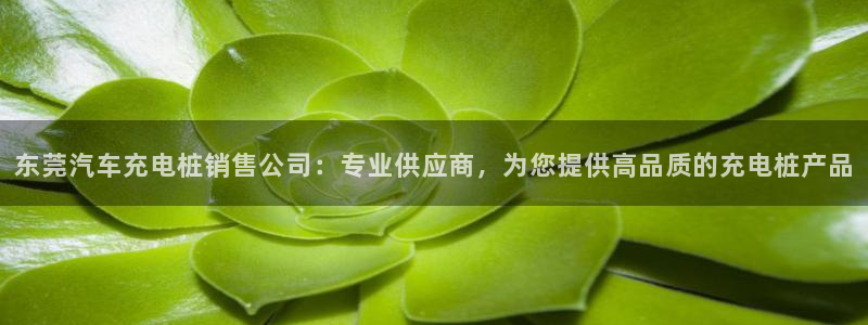 威廉希尔和inter
