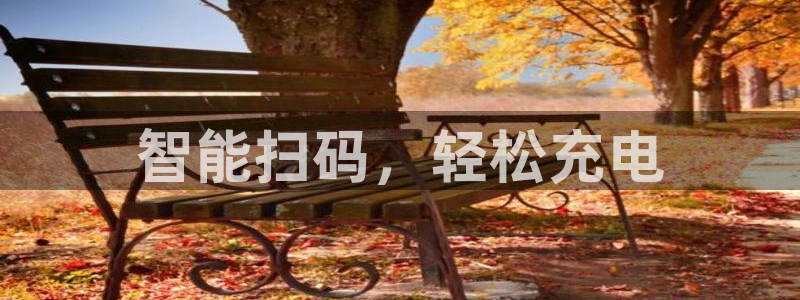 威廉希尔足球分析师怎么样