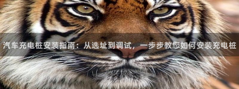 威廉希尔中文版