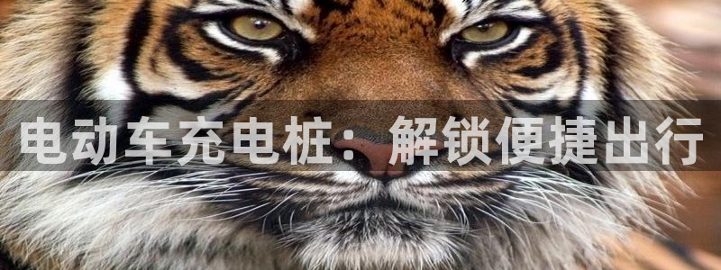 威廉国际ktv