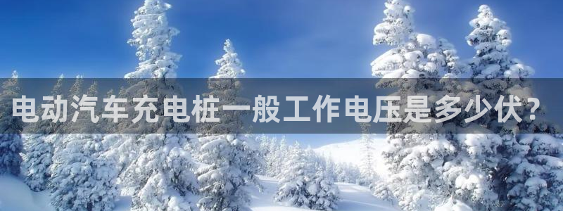 威廉希尔让球胜负平