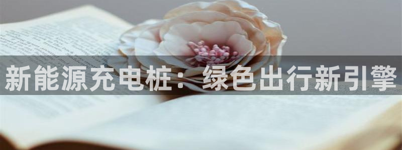 威廉指标的参数是多少