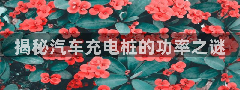 威廉体育中文解说