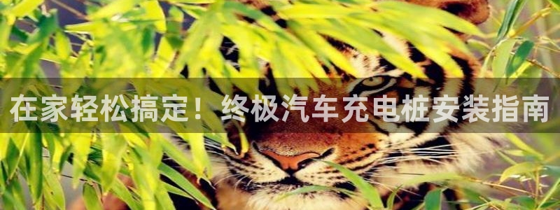 英国威廉希尔公司