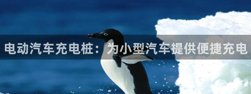 威廉比分网