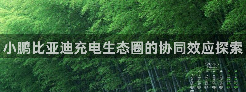 威廉希尔浏览器5.5.2