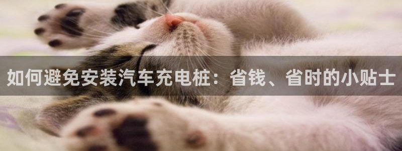 威廉希尔标准盘