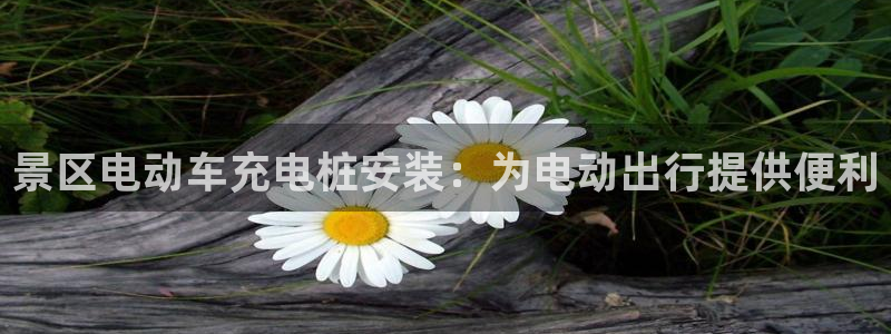 威廉希尔分析软件