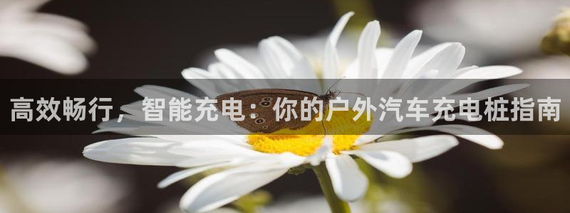 威廉希尔国内打开网址