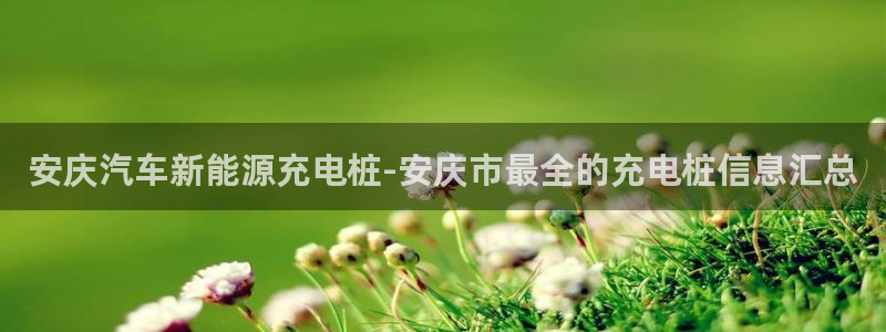 威廉国际马术中心价格