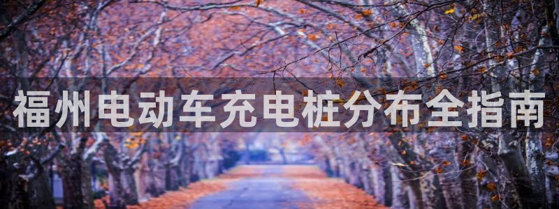 威廉希尔教学