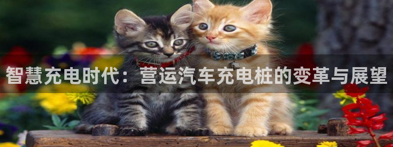 威廉希尔大小球开盘思维