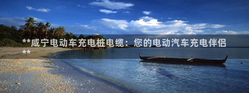 威廉国际平台介绍