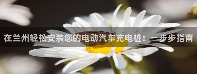 威廉希尔规律