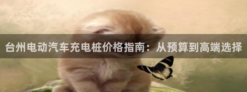 威廉篮球俱乐部