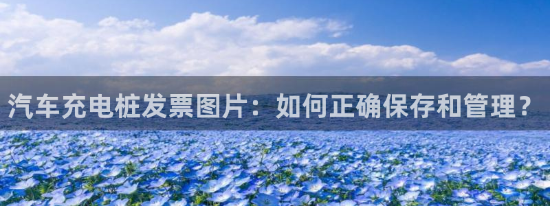 威廉希尔 1.65 4.20 4.00：汽车充电桩发票图片：如何正确保存和管理？