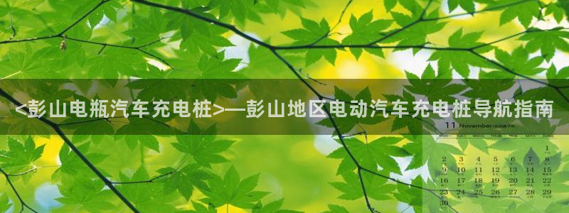 威廉体育下载地址：<彭山电瓶汽车充电桩>