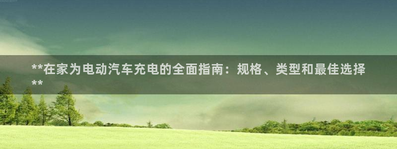 威廉希尔体育app官网：**在家为电动汽车充电的全面指南：规格、类型和最佳选择
**