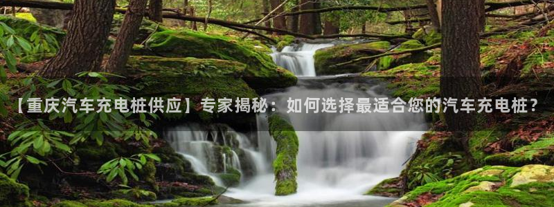 意甲威廉希尔初赔：【重庆汽车充电桩供应】专家揭秘：如何选择最适合您的汽车充电桩？