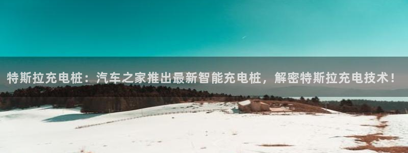 威廉希尔 1.33 4.40 6.00：特斯拉充电桩：汽车之家推出最新智能充电桩，解密特斯拉充电技术！