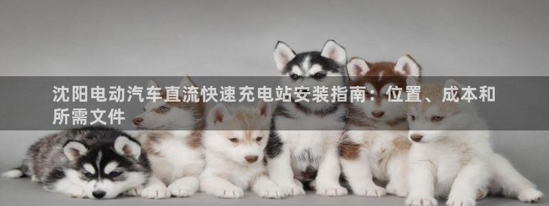 威廉希尔飞行员游戏：沈阳电动汽车直流快速充电站安装指南：位置、成本和
所需文件