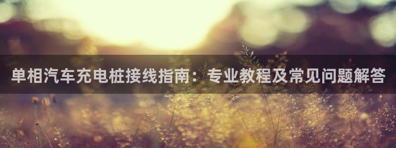 威廉希尔大小球初盘和即时盘：单相汽车充电桩接线指南：专业教程及常见问题解答