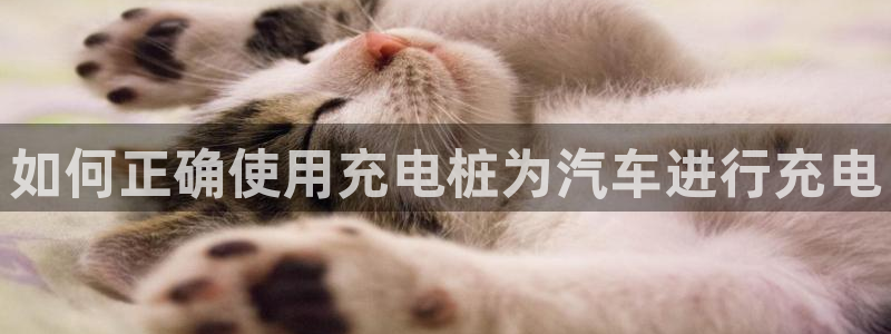 威廉希尔不给出款：如何正确使用充电桩为汽车进行充电