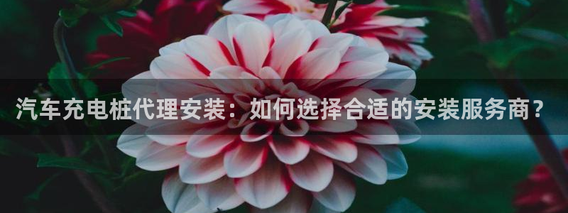 威廉足球软件下载手机版：汽车充电桩代理安装：如何选择合适的安装服务商？