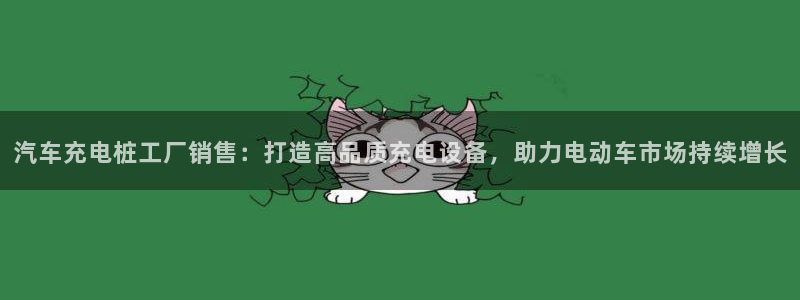 威廉指数100：汽车充电桩工厂销售：打造高品质充电设备，助力电动车市场持续增长
