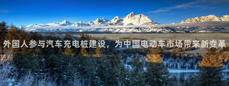威廉国际app是干什么的：外国人参与汽车充电桩建设，为中国电动车市场带来新变革