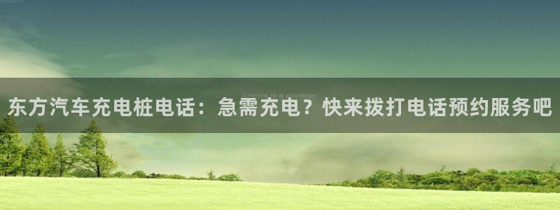 威廉足球软件下载手机版：东方汽车充电桩电