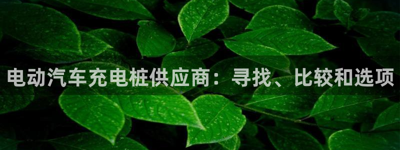 威廉国际app下载官网：电动汽车充电桩供应商：寻找、比较和选项