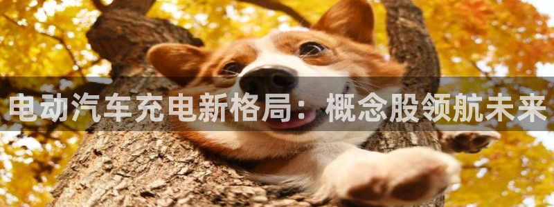 威廉希尔买卖指数：电动汽车充电新格局：概念股领航未来