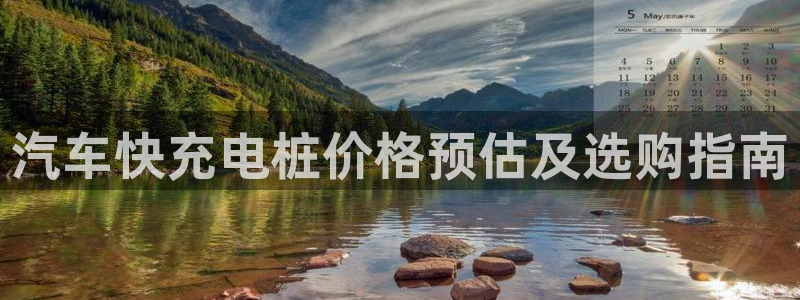 如何运用威廉希尔：汽车快充电桩价格预估及选购指南