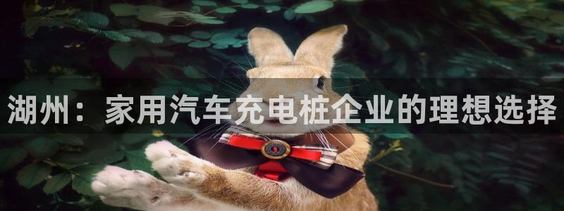 威廉希尔小球准不准：湖州：家用汽车充电桩企业的理想选择