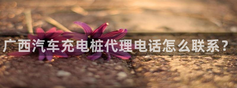 威廉希尔的分析方法 2.25：广西汽车充电桩代理电话怎么联系？