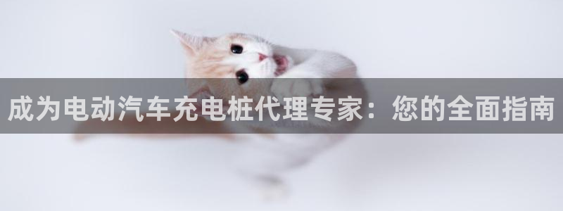 威廉希尔变盘分析：成为电动汽车充电桩代理