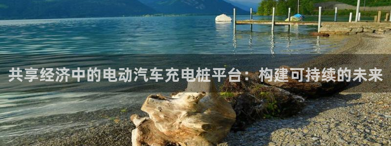 威廉希尔俱乐部：共享经济中的电动汽车充电桩平台：构建可持续的未来