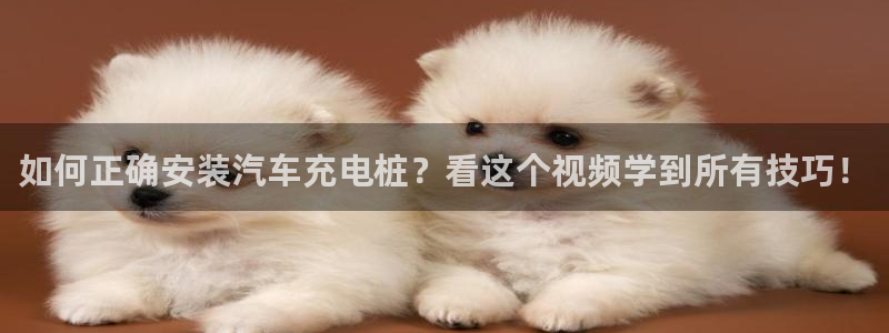 欧冠威廉希尔初赔：如何正确安装汽车充电桩
