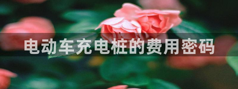 威廉希尔大小球：电动车充电桩的费用密码