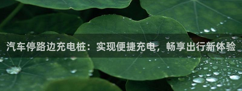 威廉希尔官网中威廉希尔官网中文：汽车停路