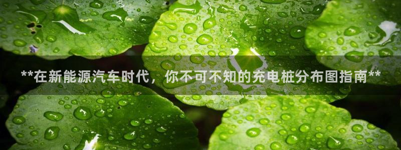 威廉希尔官网是多少：**在新能源汽车时代，你不可不知的充电桩分布图指南**