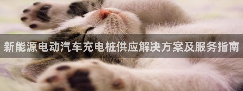 威廉希尔亚盘特点：新能源电动汽车充电桩供