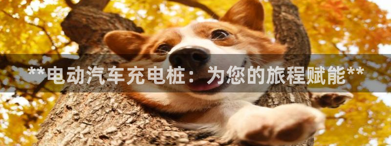 澳门威廉对比：**电动汽车充电桩：为您的旅程赋能**