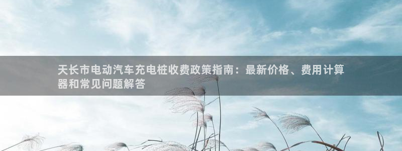 威廉希尔现金网：天长市电动汽车充电桩收费政策指南：最新价格、费用计算
器和常见问题解答